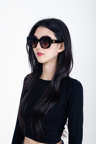 CELINE TRIOMPHE Sunglasses 06 IN Acetate