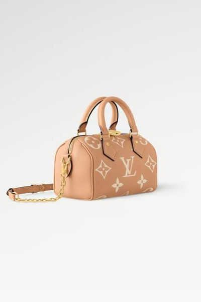 LV Speedy Bandouliere 20 Bag
