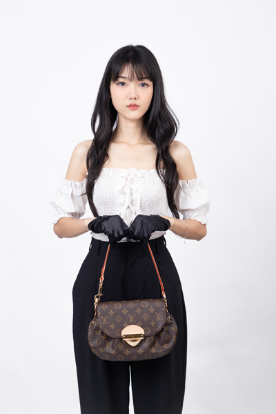 LV Sunset Bag