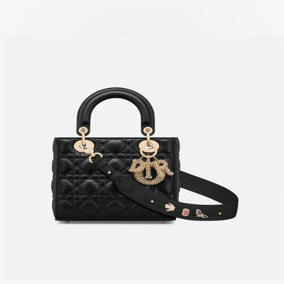 Dior Small Lady My ABC Bag