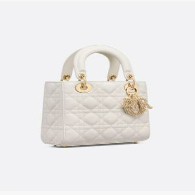Dior Small Lady My ABC Bag