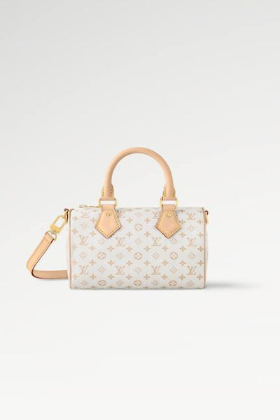 LV Speedy Bandoulière 20 Bag