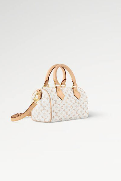 LV Speedy Bandoulière 20 Bag