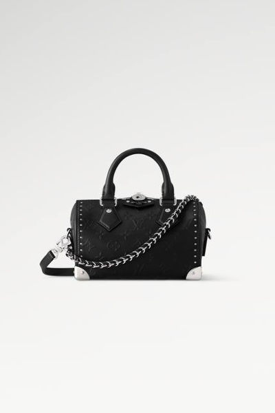 LV Speedy 20 Trunk Bag