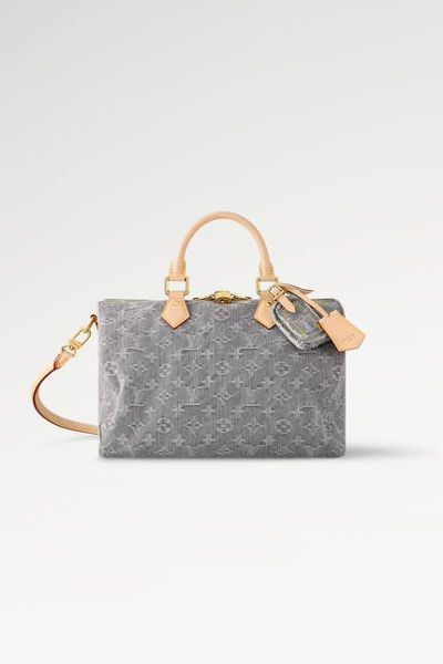 LV Speedy Soft 30 Bag