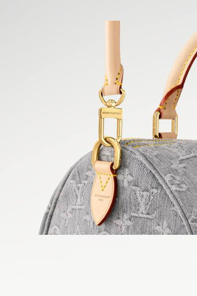 LV Speedy Soft 30 Bag