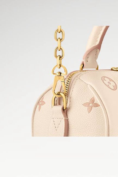 LV Speedy Bandoulière 20 Bag