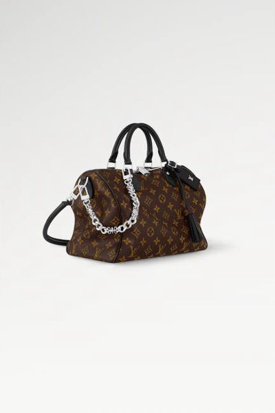 LV Speedy Soft 30 Dark Bag