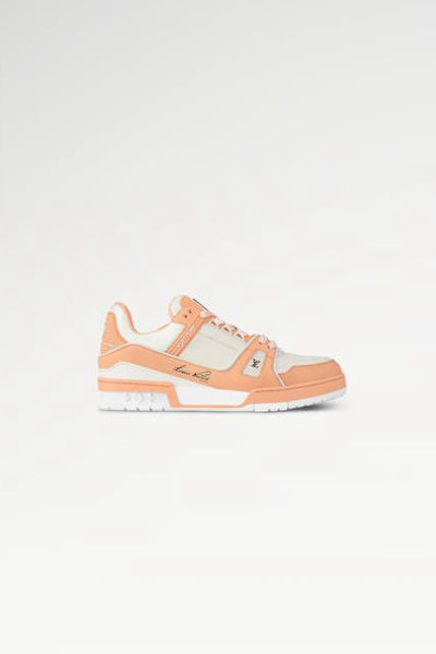 LV Trainers