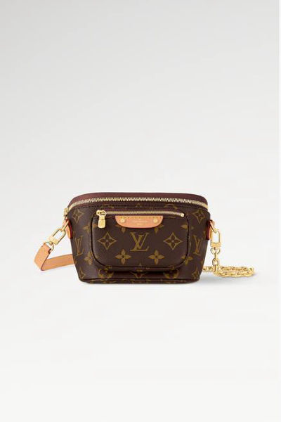 LV Mini Bumbag