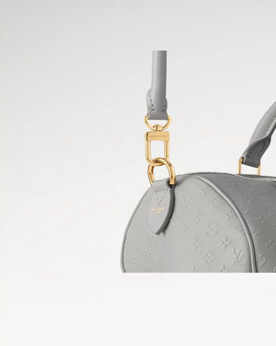 LV Speedy Soft 30 Bag