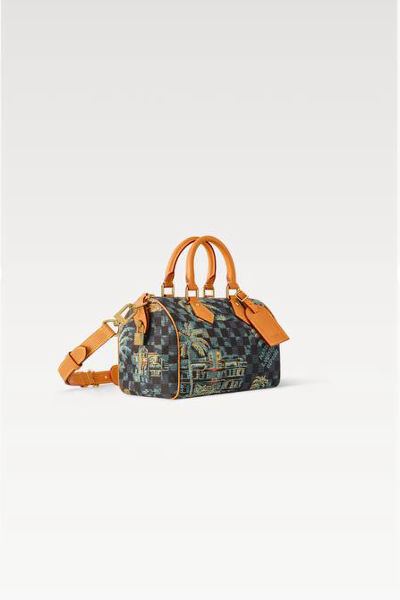 LV Speedy Bandoulière 25 Bag