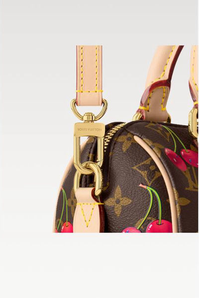 LV x TM Speedy Bandoulière 20 Bag