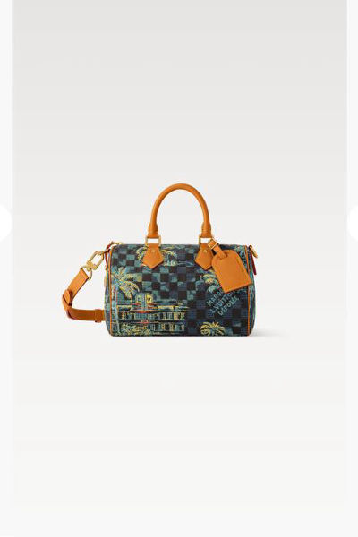 LV Speedy Bandoulière 25 Bag