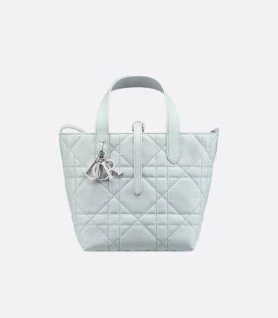 Small Dior Toujours Vertical Tote Bag