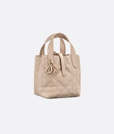 Dior Toujours Vertical Nano Tote Bag