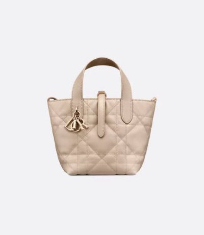 Dior Toujours Vertical Nano Tote Bag