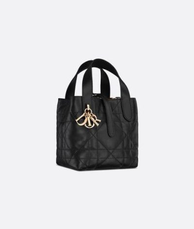 Dior Toujours Vertical Nano Tote Bag