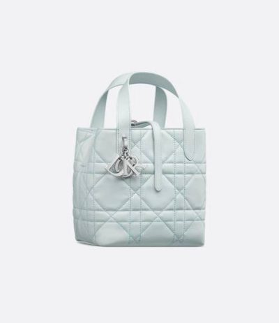 Small Dior Toujours Vertical Tote Bag