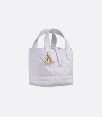 Dior Toujours Vertical Nano Tote Bag