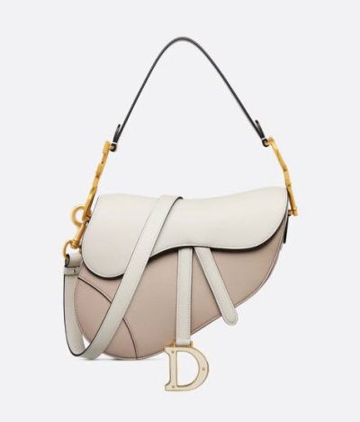 Dior Saddle Bag with Strap