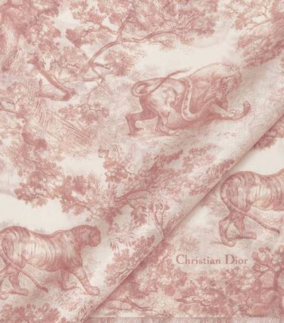 Dior Toile de Jouy Sauvage Stole