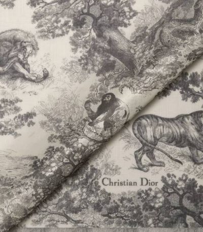 Dior Toile de Jouy Sauvage Stole