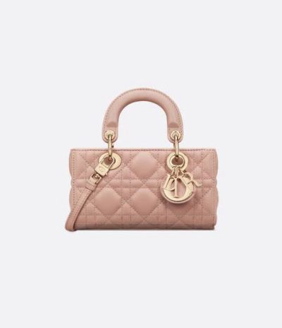 Dior Lady D-Joy Micro Bag