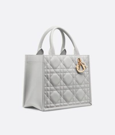 Small Dior Book Tote