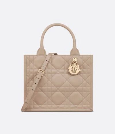 Small Dior Book Tote