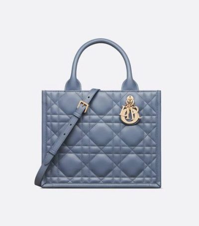 Small Dior Book Tote