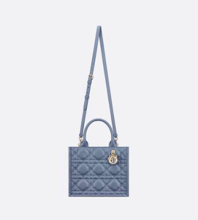 Small Dior Book Tote