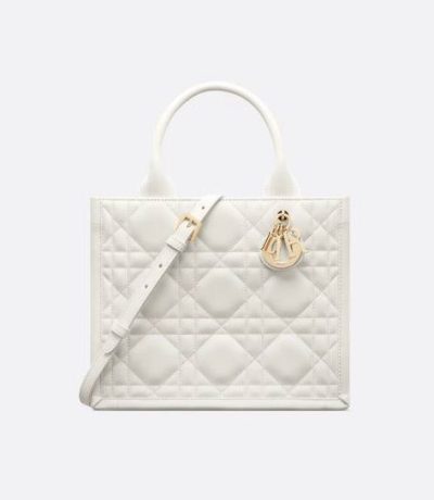 Small Dior Book Tote