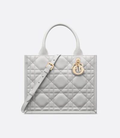 Small Dior Book Tote