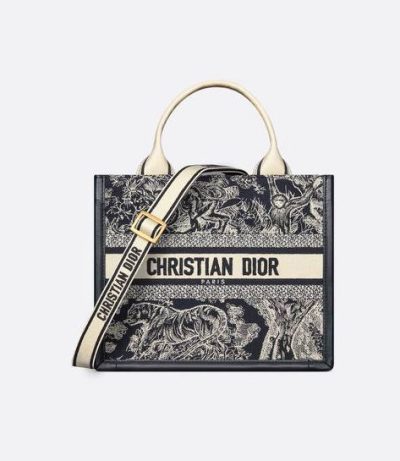 Small Dior Book Tote