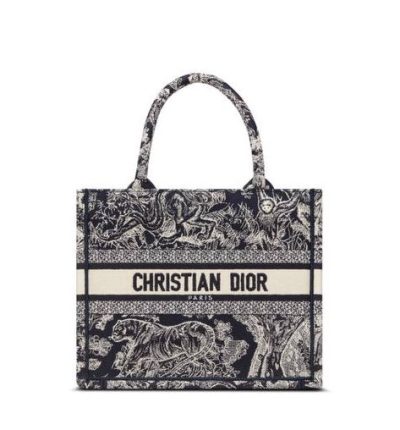 Small Dior Book Tote