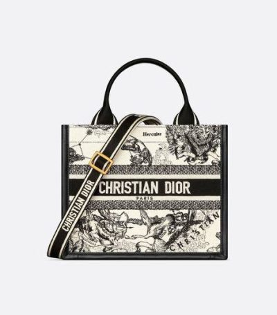 Small Dior Book Tote