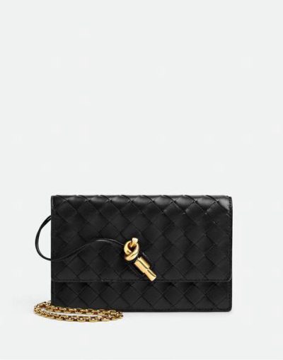 Bottega Veneta Andiamo Wallet on Chain