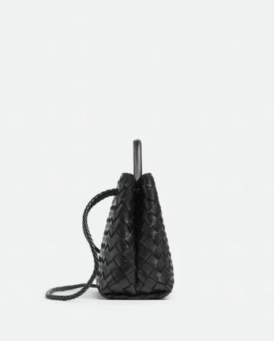 Bottega Veneta Small Andiamo
