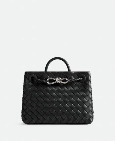 Bottega Veneta Small Andiamo