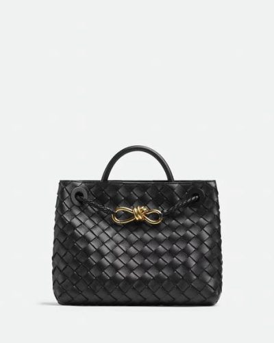 Bottega Veneta Small Andiamo