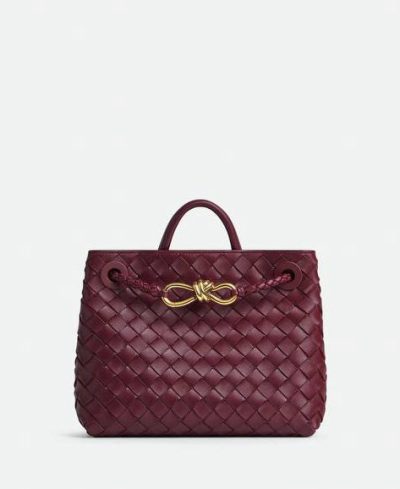 Bottega Veneta Small Andiamo