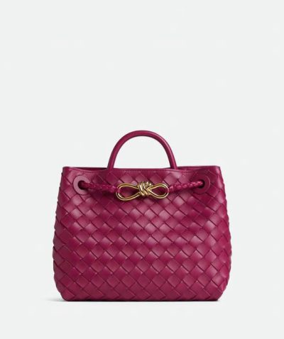 Bottega Veneta Small Andiamo