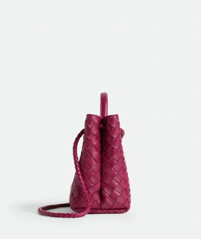 Bottega Veneta Small Andiamo