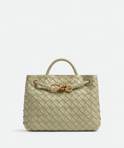 Bottega Veneta Small Andiamo