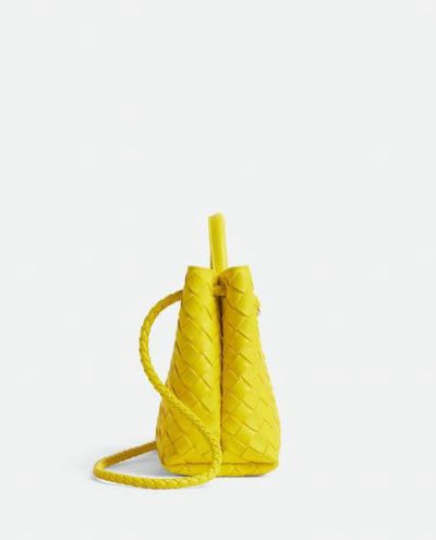 Bottega Veneta Small Andiamo