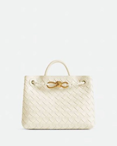 bottega Veneta Small Andiamo