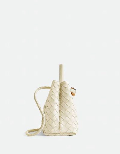 bottega Veneta Small Andiamo