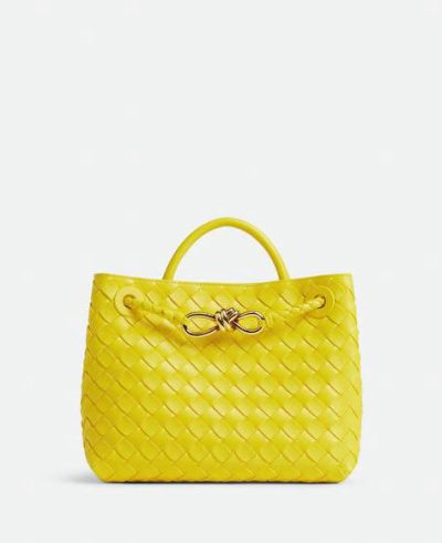 Bottega Veneta Small Andiamo