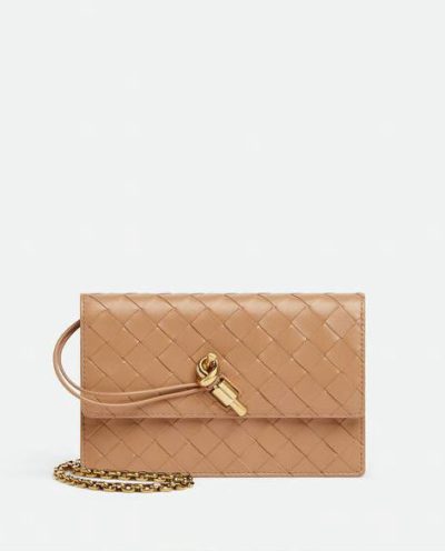 Bottega Veneta Andiamo Wallet on Chain